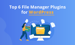 Top 6 File Manager Plugins for WordPress