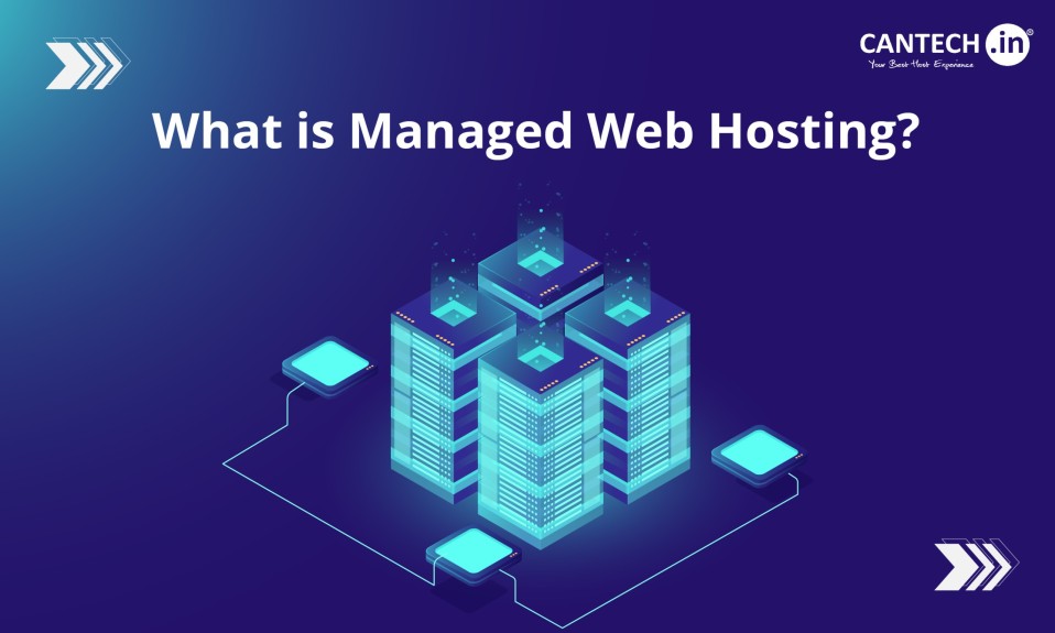 what is managed web hosting