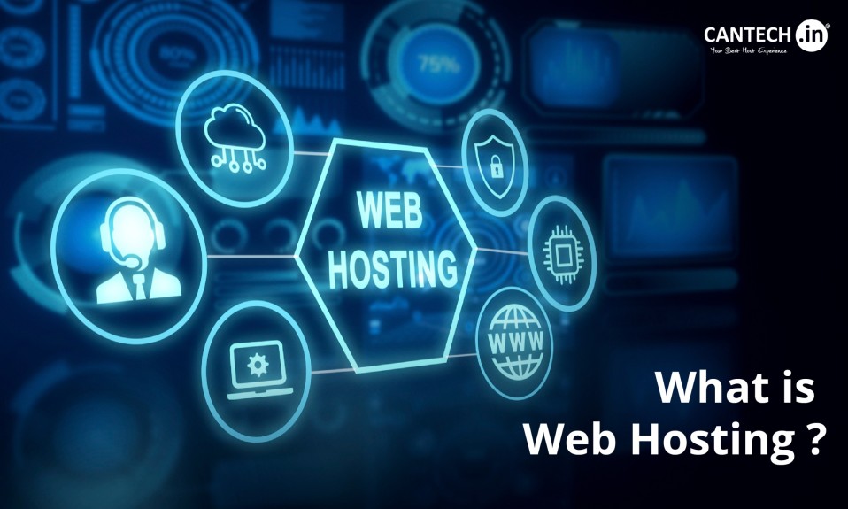 what is web hosting