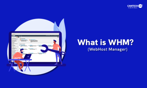 What is WHM? Full Form, Meaning & Key Features [2026]