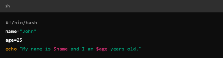 What is Shell Scripting? Uses, Types, Commands with Examples