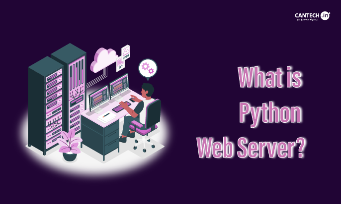What is Python Web Server | Cantech
