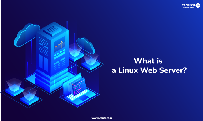 What is a Linux Web Server?