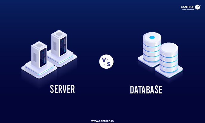 Difference Between Server and Database