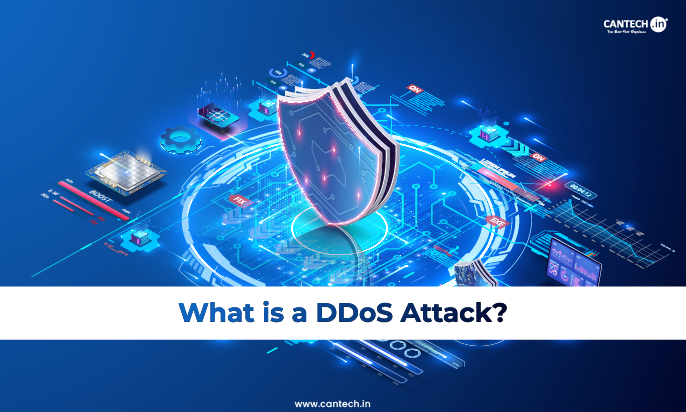 What is a DDoS Attack