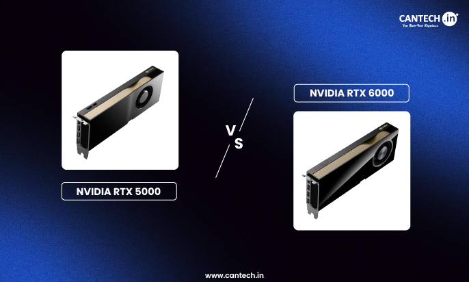 nvidia rtx 5000 vs rtx 6000