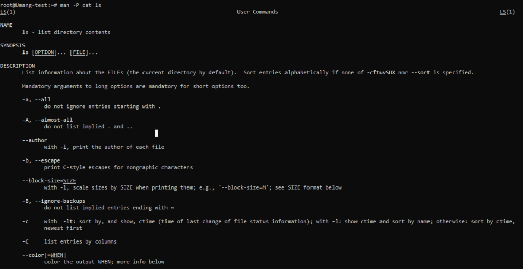 custom pager command
