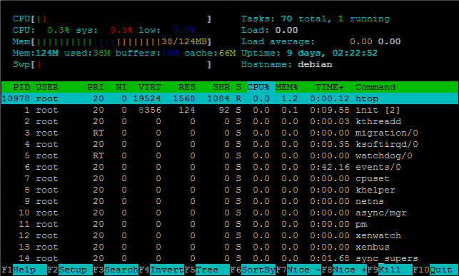 htop Interface