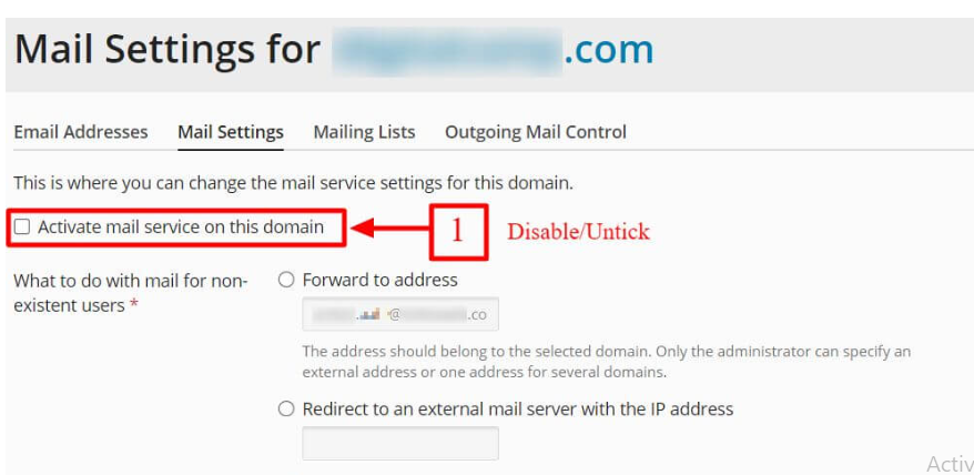 untick/disable the “Activate mail service on this domain” option