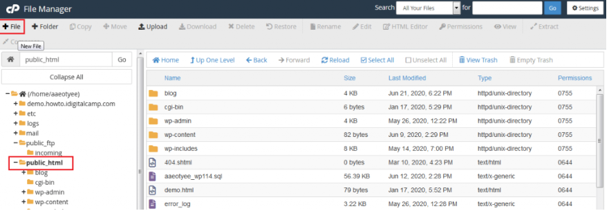 Go to the public_html folder