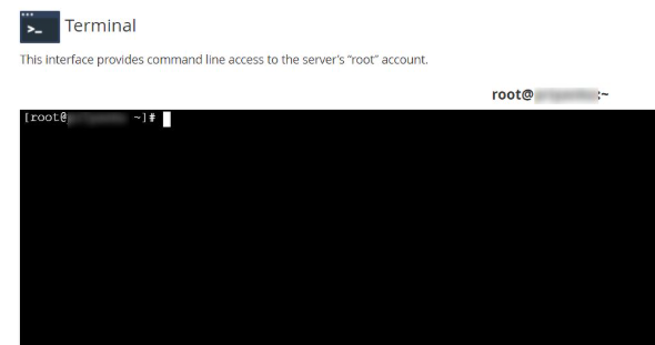 command-line interface of the server