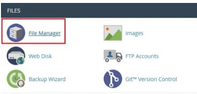 click on the File Manager option