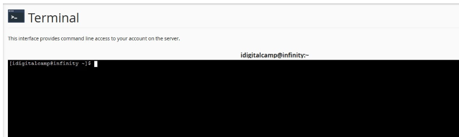 Your cPanel Terminal should now