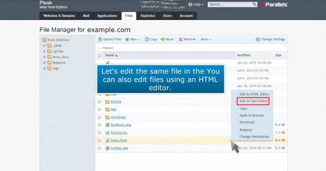 Manager's text editor